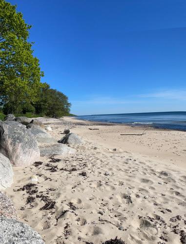 Beach, New guest house Rorum Strand in Beautiful Osterlen in Kivik Beach, New guest house Rorum Strand in Beautiful Osterlen in Kivik