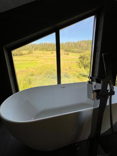 pro100 house in Volosyanka pro100 house in Volosyanka