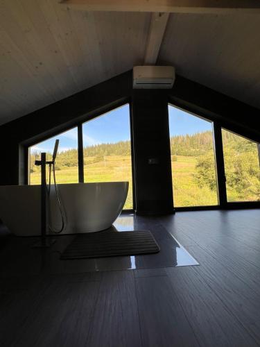 pro100 house in Volosyanka pro100 house in Volosyanka