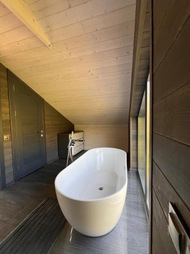 pro100 house in Volosyanka pro100 house in Volosyanka