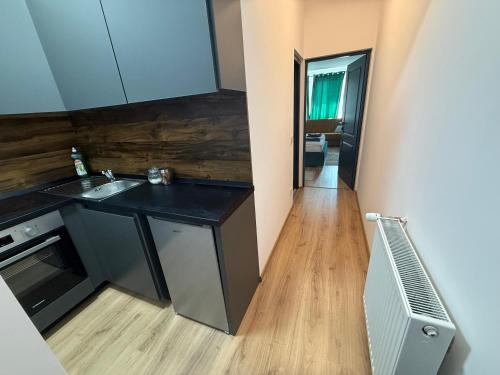 Chic Apartments - City Center - Free Wifi AC in Carei Chic Apartments - City Center - Free Wifi AC in Carei