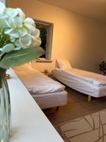 SleepIn Kolding in Kolding SleepIn Kolding in Kolding