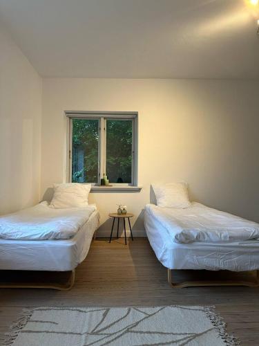 SleepIn Kolding in Kolding SleepIn Kolding in Kolding