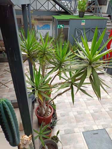 Hotel las Dunas in Iquique Hotel las Dunas in Iquique