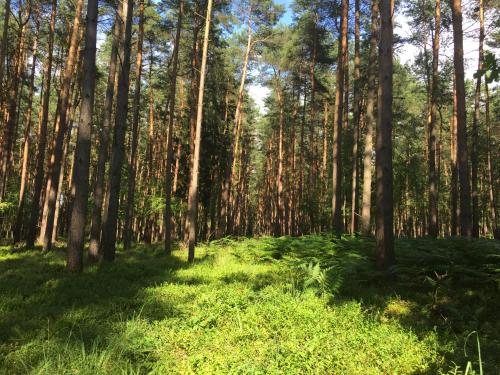 المنظر الخارجي, Ferienwohnung am Haff in Grambin المنظر الخارجي, Ferienwohnung am Haff in Grambin