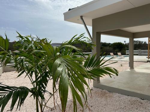 Vakantiehuis Bandabou in Soto Vakantiehuis Bandabou in Soto