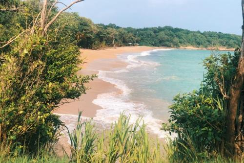 Nearby attraction, Fruit de la passion in Sainte Rose Nearby attraction, Fruit de la passion in Sainte Rose