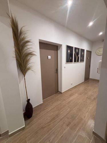 La Perle in Narbonne La Perle in Narbonne