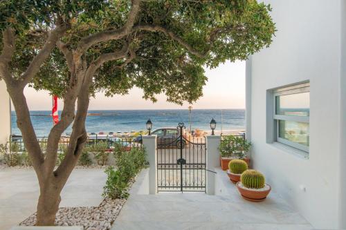 Acanthus Houses in Tinos Acanthus Houses in Tinos