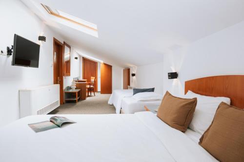 Hotel Duke Romana in Bucharest Hotel Duke Romana in Bucharest