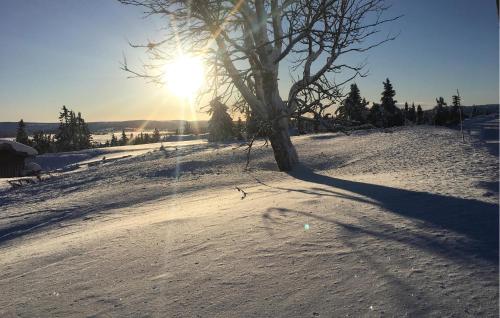 Exterior view, Cozy Home In Sjusjøen With Wifi in Sjusjoen Exterior view, Cozy Home In Sjusjøen With Wifi in Sjusjoen