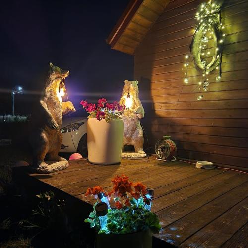 Siedlisko Magnolia in Tluszcz Siedlisko Magnolia in Tluszcz