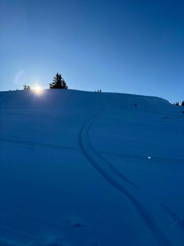 Exterior view, Architect-Designed Cabin With Views In Sjusjøen in Sjusjoen Exterior view, Architect-Designed Cabin With Views In Sjusjøen in Sjusjoen