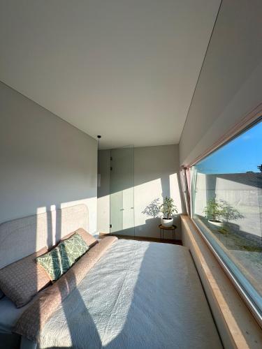 Pamario Lizdas in 普列庫萊 Pamario Lizdas in 普列庫萊