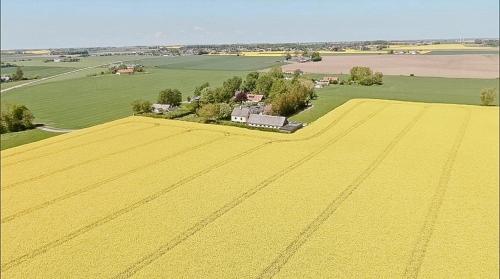 Exterior view, Bright House With Field View In Osterlen in Borrby Exterior view, Bright House With Field View In Osterlen in Borrby