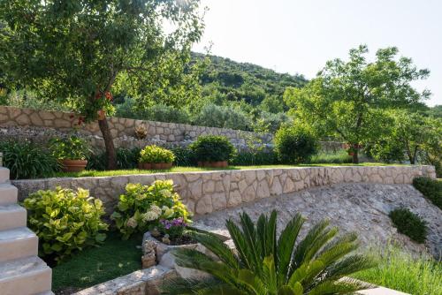 Green Paradise Apartments