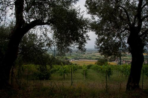 This photo about Agriturismo La Grotta shared on HyHotel.com