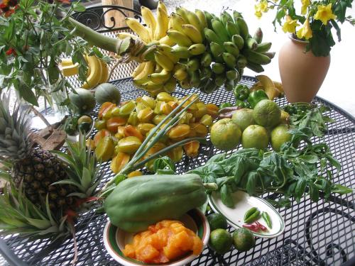 Food and beverages, Puri Mas OSA Eco-Retreat in Ballena Food and beverages, Puri Mas OSA Eco-Retreat in Ballena
