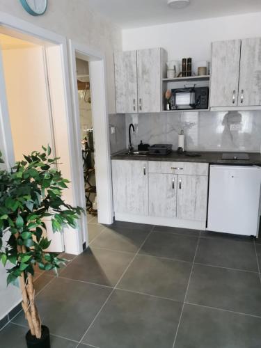 Apartman Goga 1 in Veliko Gradiste Apartman Goga 1 in Veliko Gradiste