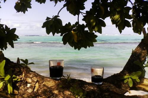 pantai, B & Bee Wild Island - Nature Song in Huahine Island pantai, B & Bee Wild Island - Nature Song in Huahine Island