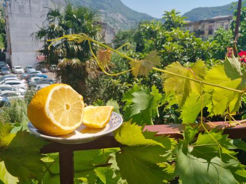 Golden Bay Apartment in Dobrota Golden Bay Apartment in Dobrota