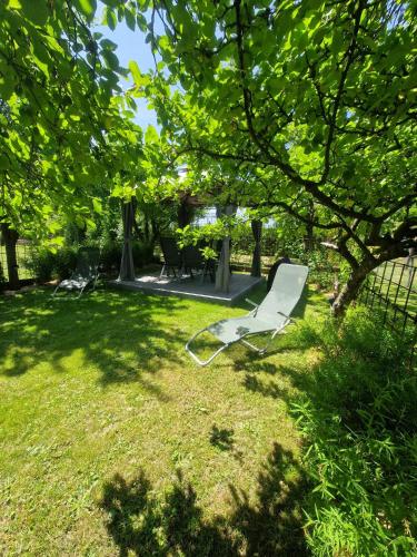 花園, Ferienwohnung am See Dillich - Eigener Garten - Ruhige Lage - Natur vor der Haustür (Ferienwohnung am See Dillich - Eigener eingezaunter Garten - Ruhige Lage - Hunde willkommen - Natur ) in 博肯-黑森州 花園, Ferienwohnung am See Dillich - Eigener Garten - Ruhige Lage - Natur vor der Haustür (Ferienwohnung am See Dillich - Eigener eingezaunter Garten - Ruhige Lage - Hunde willkommen - Natur ) in 博肯-黑森州
