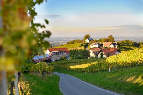 Kilátás, Weingut Schwarzl in Ratsch An Der Weinstrasse Kilátás, Weingut Schwarzl in Ratsch An Der Weinstrasse