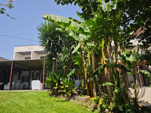 Quinta do Botas in โตรฟา Quinta do Botas in โตรฟา