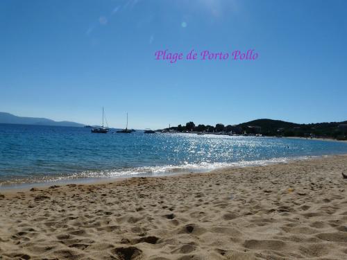 plaža, Maquis et plage in Petreto-Bicchisano plaža, Maquis et plage in Petreto-Bicchisano