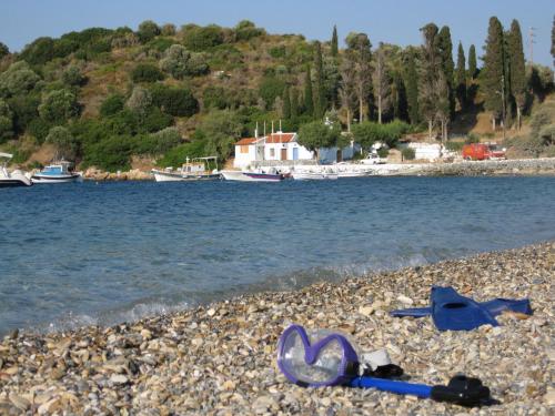 Surrounding environment, Beautiful Villa in Agia Paraskevi Samos in Samos Island Surrounding environment, Beautiful Villa in Agia Paraskevi Samos in Samos Island
