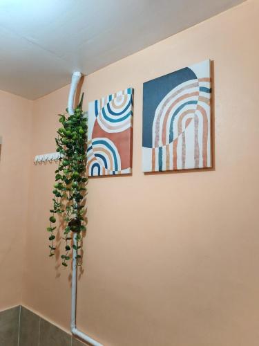 Facilities, Eco cozy Home Comfort for family and couples near Loleng's Mountain Spring Resort Facilities, Eco cozy Home Comfort for family and couples near Loleng's Mountain Spring Resort