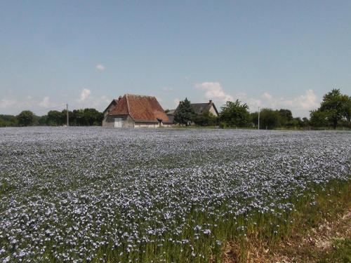 Вид, La Huberdiere in Luynes Вид, La Huberdiere in Luynes