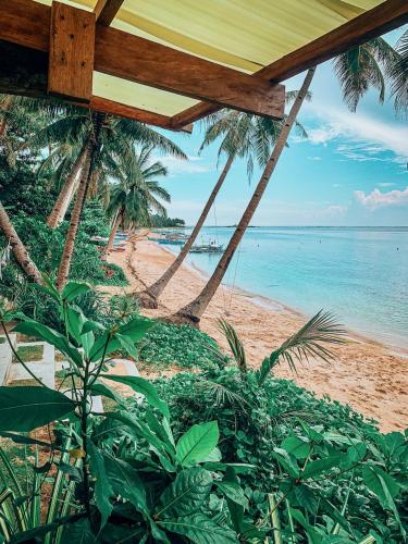 ชายหาด, ShakaBrah Beachfront Hostel in เกาะเซียร์เกา ชายหาด, ShakaBrah Beachfront Hostel in เกาะเซียร์เกา