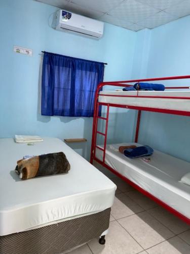 HOSTAL BLUE OASIS AQUAMAr in Colón HOSTAL BLUE OASIS AQUAMAr in Colón