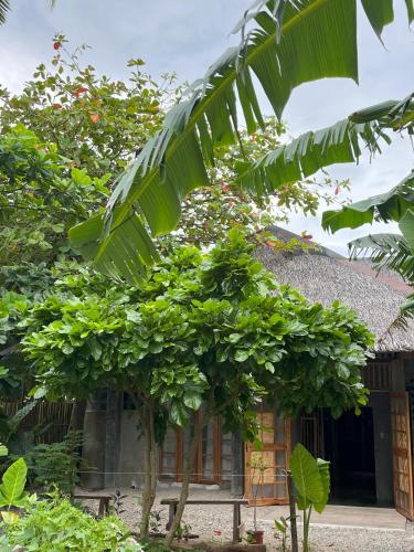 สวน, Lawi Haven Homestay in บูร์โกส สวน, Lawi Haven Homestay in บูร์โกส