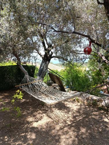 Olive grove mansion - kösedere village (Olive grove mansion - kosedere village) in Mordogan Olive grove mansion - kösedere village (Olive grove mansion - kosedere village) in Mordogan