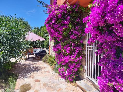 Garden, Santa Margarita in Antheor Garden, Santa Margarita in Antheor