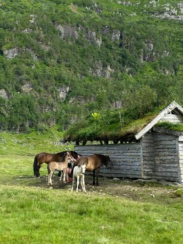 المنظر الخارجي, Mountain Cabin With Glacier Views in Norheimsund المنظر الخارجي, Mountain Cabin With Glacier Views in Norheimsund