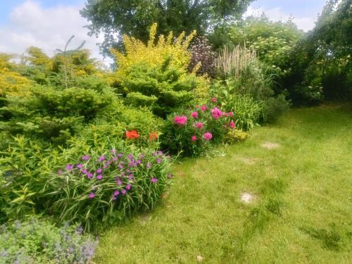 Mierki 66 Pokój Rodzinny 1 (Mierki 66 Pokoj Rodzinny 1) in Mierki Mierki 66 Pokój Rodzinny 1 (Mierki 66 Pokoj Rodzinny 1) in Mierki