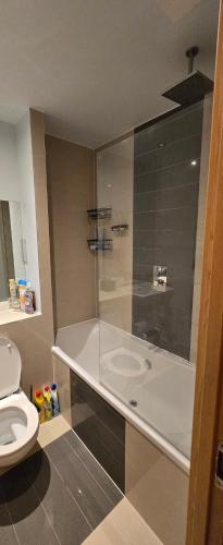 1 bed luxurious flat in Basildon 1 bed luxurious flat in Basildon
