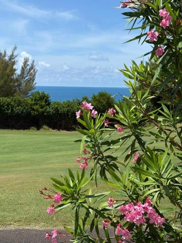 Campo de golf en el alojamiento, Crown and Anchorage in St. George Campo de golf en el alojamiento, Crown and Anchorage in St. George