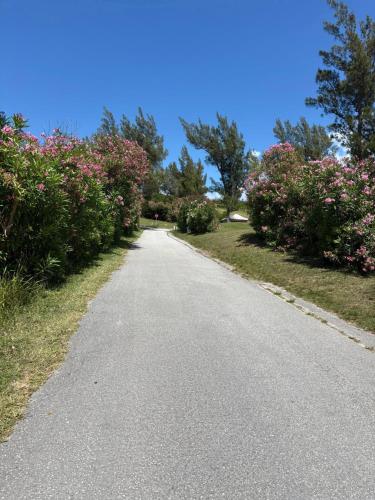 Alrededores, Crown and Anchorage in St. George Alrededores, Crown and Anchorage in St. George