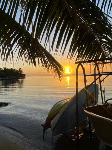 Les poissons du lagon YH in ライアテア Les poissons du lagon YH in ライアテア