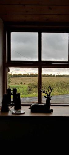 Glenedagh Oughter B&B in 貝利堡 Glenedagh Oughter B&B in 貝利堡