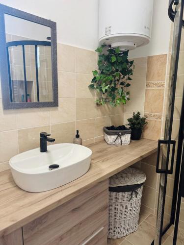 Apartman Classy Pecs in Makar Apartman Classy Pecs in Makar