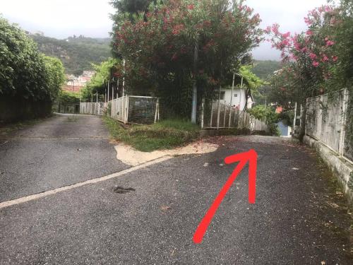 Compact Apartments for Solo Travelers in Igalo Compact Apartments for Solo Travelers in Igalo