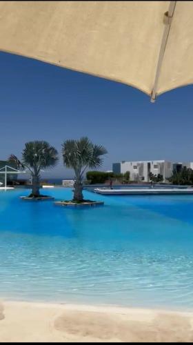 Swimming pool, Modern 3BR Chalet in Fouka Bay Lagoon View in Zawiyat Ailat Nuh Swimming pool, Modern 3BR Chalet in Fouka Bay Lagoon View in Zawiyat Ailat Nuh