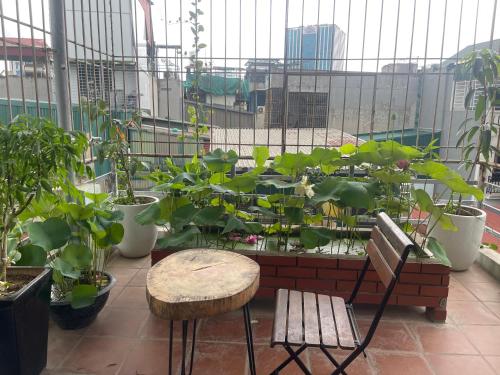 hostel 86 Hoang Mai in Hoang Mai District hostel 86 Hoang Mai in Hoang Mai District