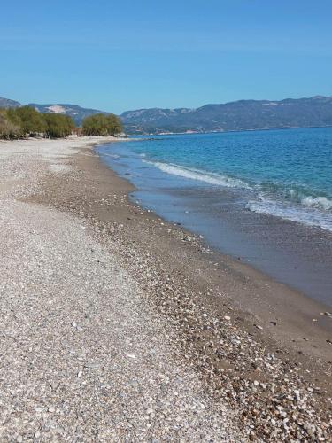 Waters Edge in Ormos Marathokampou Waters Edge in Ormos Marathokampou