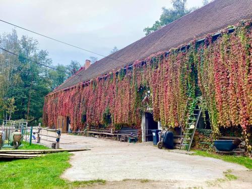 Ubytování na farmě (Ubytovani na farme) in สตไรโบร Ubytování na farmě (Ubytovani na farme) in สตไรโบร